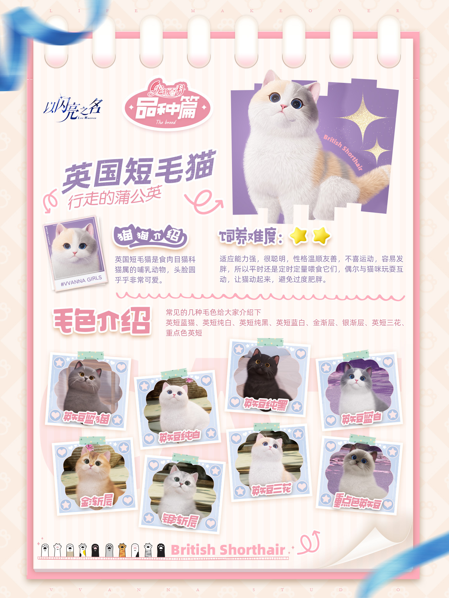 以闪亮之名的宠物系统怎么玩以闪亮之名的宠物系统活动介绍。-第2张图片