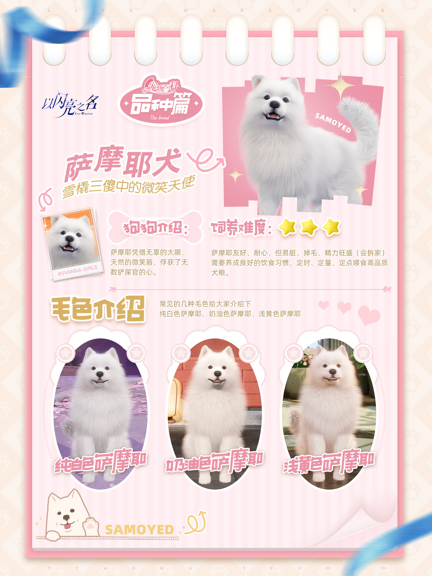 以闪亮之名的宠物系统怎么玩以闪亮之名的宠物系统活动介绍。-第4张图片