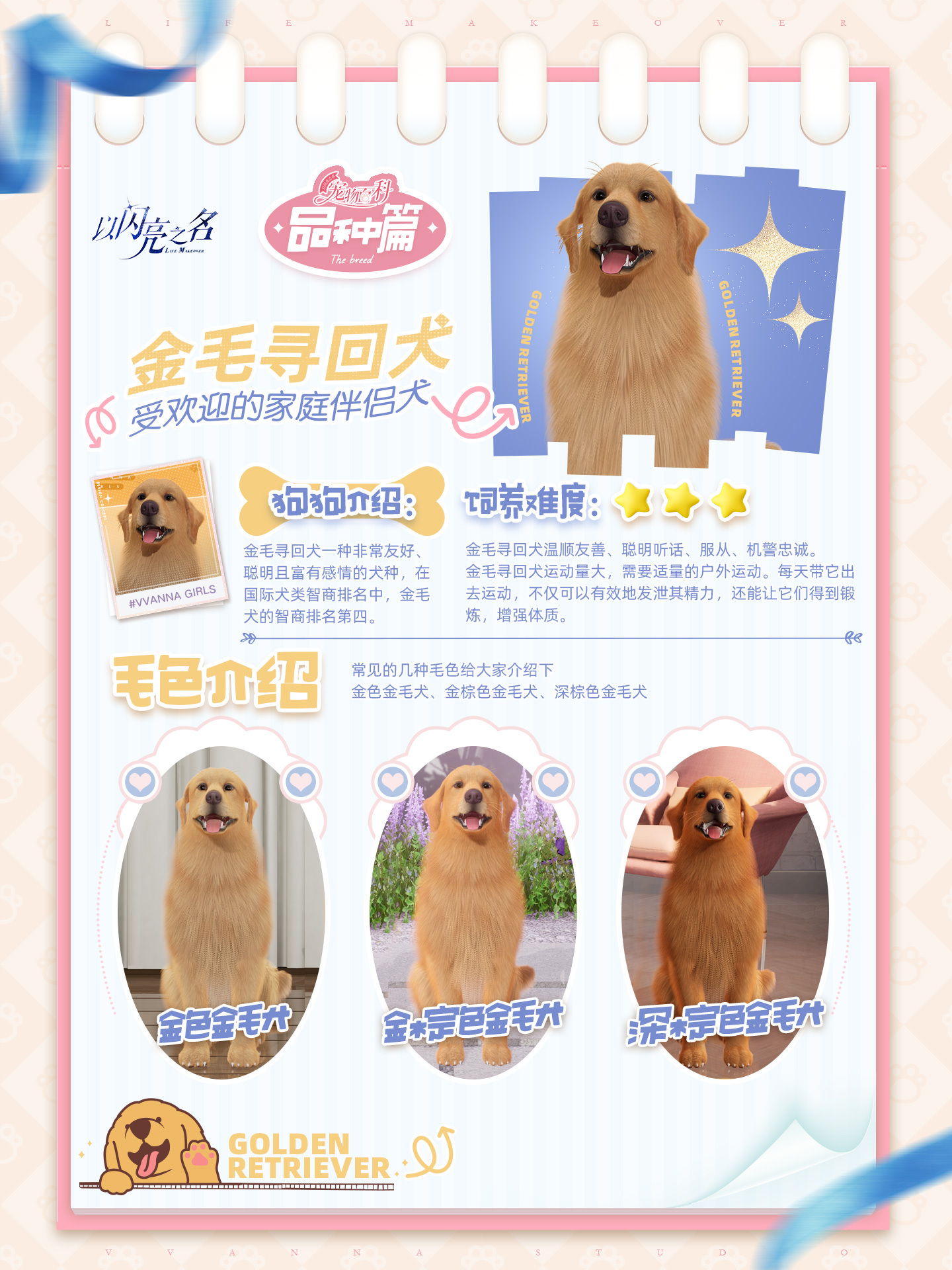 以闪亮之名的宠物系统怎么玩以闪亮之名的宠物系统活动介绍。-第3张图片