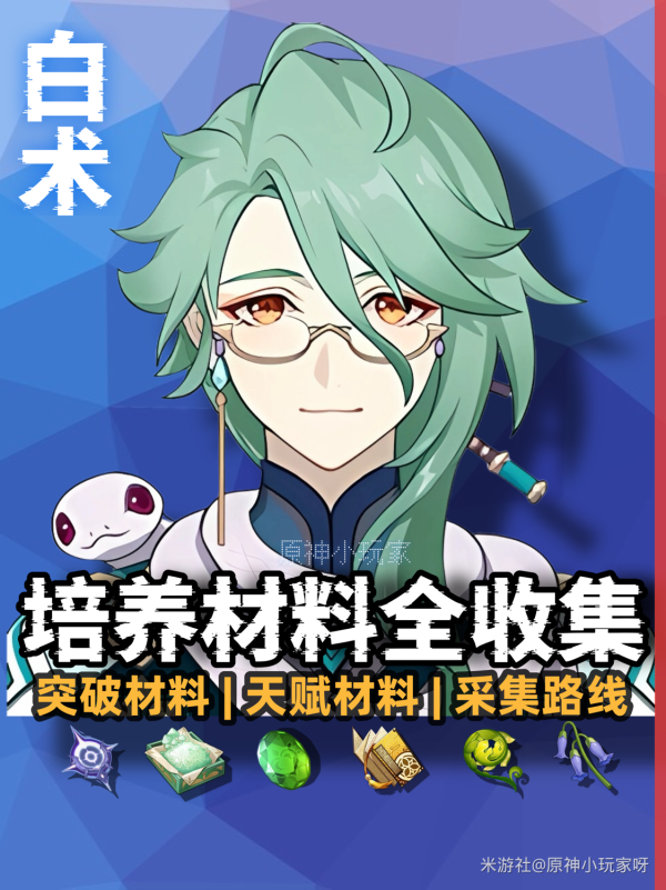 白术原菌培养料大全攻略白术原菌培养料在哪里可以买到？-第2张图片