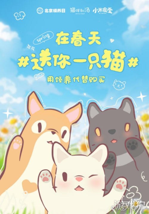 猫和汤x北京认养日x小米食堂给你一只猫-第1张图片