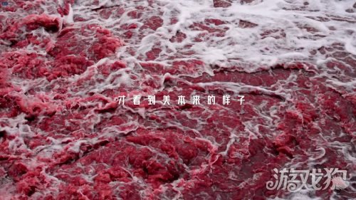 星际52区X南天门项目联动确定公测将于4月24日同步开启。-第2张图片