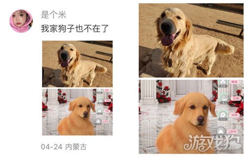 以闪耀之名强行申请加入宠主名单。-第2张图片