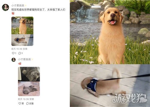 以闪耀之名强行申请加入宠主名单。-第5张图片