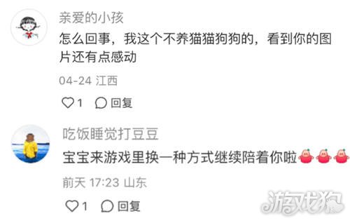 以闪耀之名强行申请加入宠主名单。-第4张图片