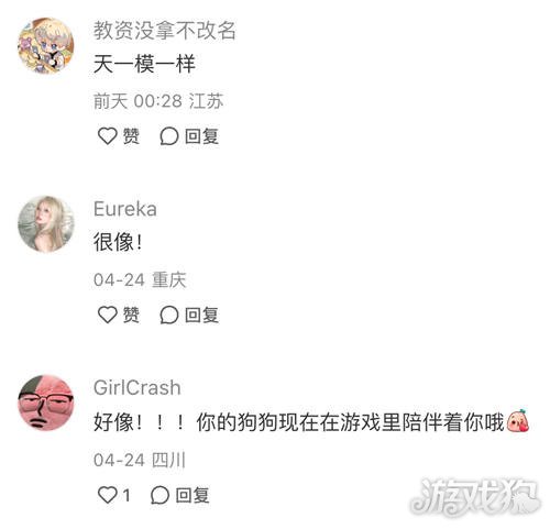 以闪耀之名强行申请加入宠主名单。-第3张图片