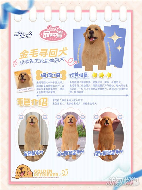 以闪耀之名强行申请加入宠主名单。-第10张图片