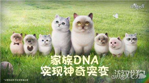 以闪耀之名强行申请加入宠主名单。-第11张图片