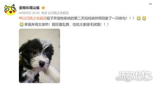 以闪耀之名强行申请加入宠主名单。-第22张图片