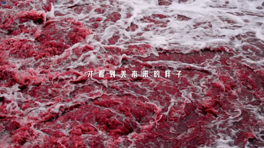 《星际争霸52区》×南天门计划联动确定公测将于4月24日同步开启。-第2张图片