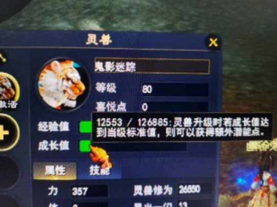 回答少侠的问题（二）:魂兽真的是自由的吗？-第2张图片