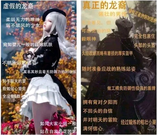民间Mod团体六年的努力成果在官方下一代更新之前就付诸东流了。-第1张图片 民间Mod团体六年的努力成果在官方下一代更新之前就付诸东流了。-第1张图片