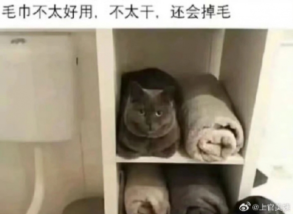 在女朋友包里发现的,这是什么？囧图 带强的都是狠人-第1张图片