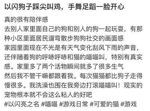 强推!申请《以闪亮之名》游戏加入养宠人必入清单-第21张图片