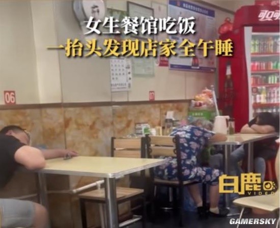 山西午睡文化已经不分物种了：家里的猫 路上的狗-第1张图片