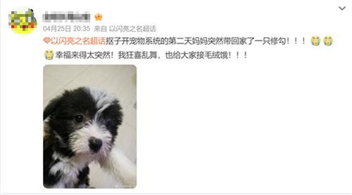 强推!申请《以闪亮之名》游戏加入养宠人必入清单-第22张图片
