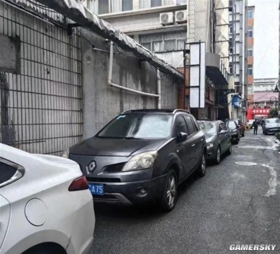 僵尸车停放7年副驾驶都长出了草 原车价值20多万-第1张图片