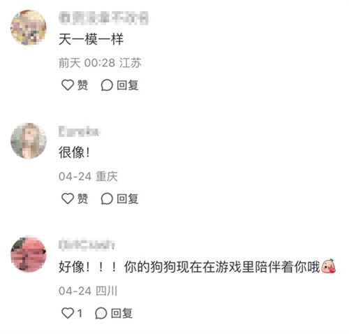 强推!申请《以闪亮之名》游戏加入养宠人必入清单-第3张图片