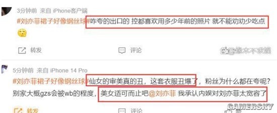 刘亦菲出席LV大秀 网友：最多一米五 裙子好像钢丝球-第2张图片