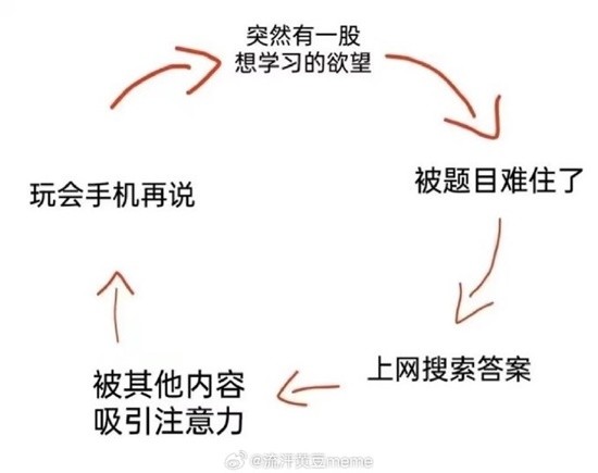 人类圣女被哥布林拿下 最想让老乡拾走的囧图-第2张图片