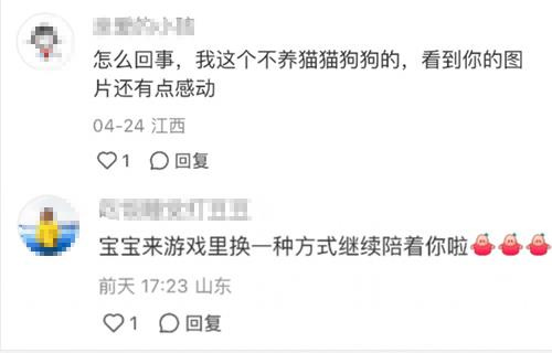 强推!申请《以闪亮之名》游戏加入养宠人必入清单-第4张图片