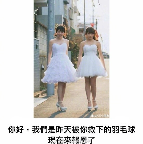人类圣女被哥布林拿下 最想让老乡拾走的囧图-第4张图片