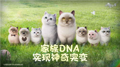 强推!申请《以闪亮之名》游戏加入养宠人必入清单-第11张图片