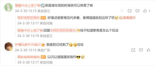 强推!申请《以闪亮之名》游戏加入养宠人必入清单-第13张图片