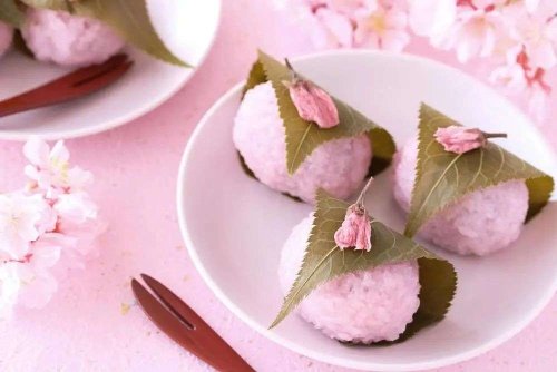 冷知识：千万不要买樱花味食物 史泰龙50美元卖过自己的狗-第1张图片