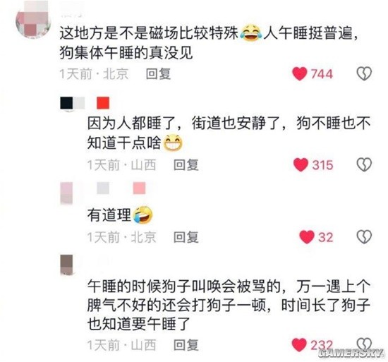 山西午睡文化已经不分物种了：家里的猫 路上的狗-第6张图片