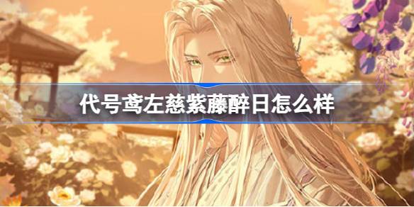 代号风筝怎么样左慈紫藤醉日代号风筝5.9新地宫攻略。-第1张图片