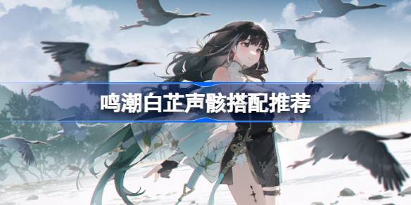 如何搭配白芷的声音骨架和白芷的声音骨架-第1张图片
