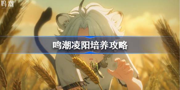 明超陵阳训练攻略明超陵阳音骨推荐武器阵容-第1张图片