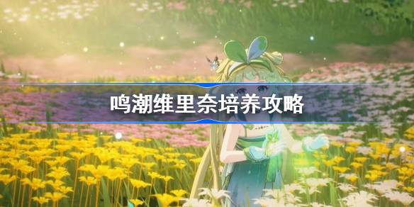 明晁伟力乃声骨武器阵容推荐-第1张图片