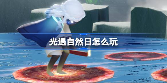 自然天怎么玩？2024年海洋节活动介绍。-第1张图片