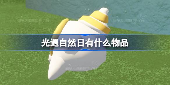 自然日有哪些项目？2024自然日礼包介绍。-第1张图片