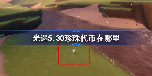 《光遇》中的5.30珍珠代币在哪里？5月30日自然日代币收集攻略-第1张图片