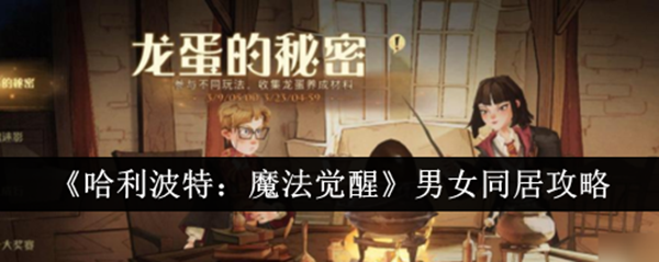 《哈利·波特:魔法觉醒》男女同居简介-第1张图片