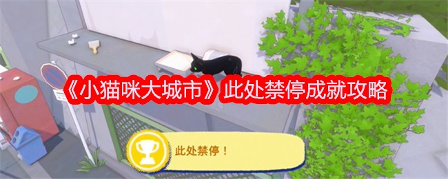 “小猫大城市”禁止在此停留。-第1张图片