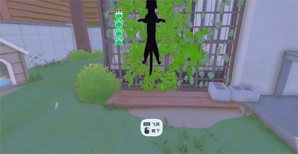 大城市猫狗球位介绍-第2张图片