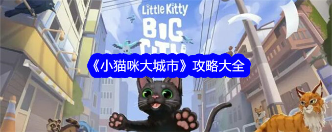 《小猫大城市》简介-第1张图片