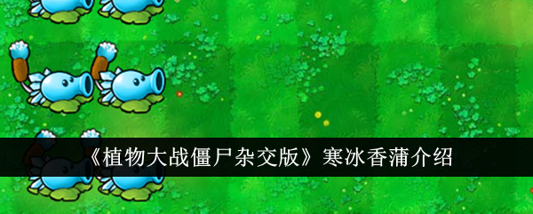 植物大战僵尸混合版中的冰香蒲介绍-第1张图片