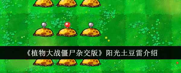 《植物大战僵尸混合版》阳光土豆雷简介-第1张图片