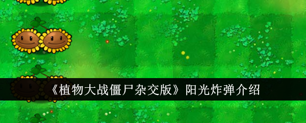 植物大战僵尸混合版阳光炸弹介绍-第1张图片