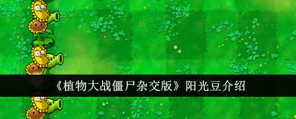 植物大战僵尸混合版阳光豆介绍-第1张图片