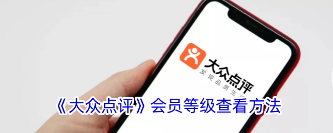大众点评会员等级查看方法-第1张图片