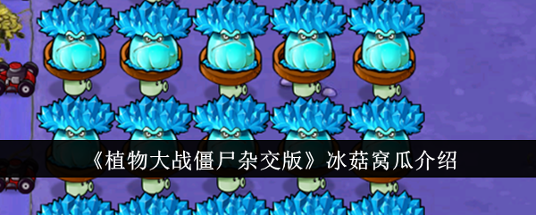 《植物大战僵尸混合版》中的冰菇沃瓜介绍-第1张图片