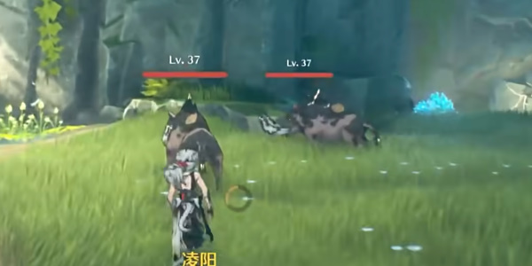 唱潮吹哨野回城任务介绍如何介绍唱潮吹哨野回城任务?-第3张图片 唱潮吹哨野回城任务介绍如何介绍唱潮吹哨野回城任务?-第3张图片
