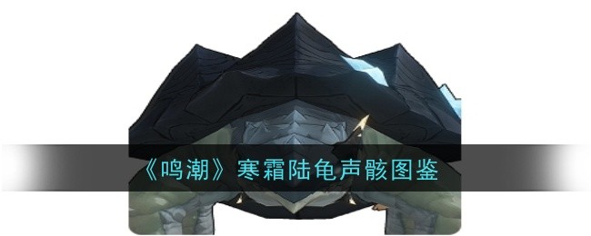 《明潮》霜龟音骨图-第1张图片