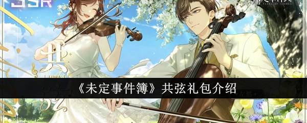 介绍音乐会套餐的未定事件书-第1张图片